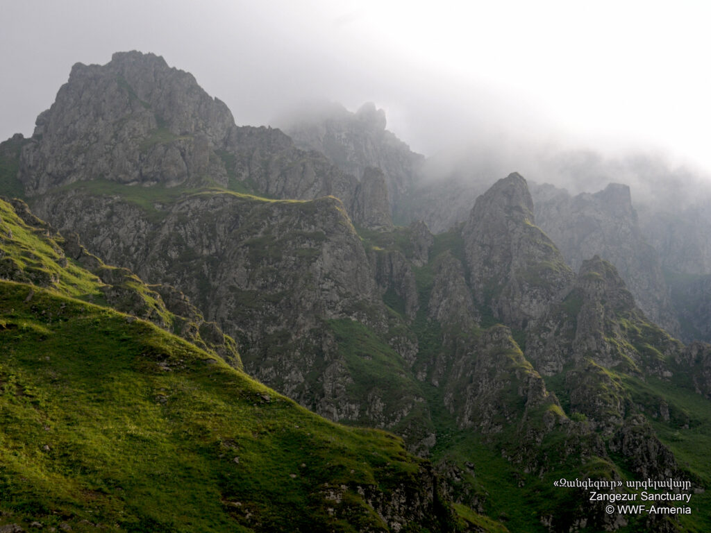 Syunik-Zankezur
