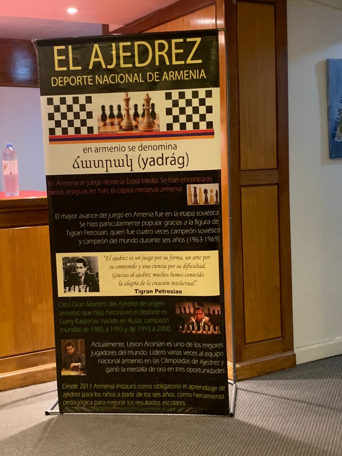 ajedrez banner